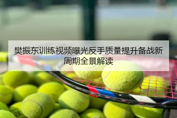 樊振东训练视频曝光反手质量提升备战新周期全景解读