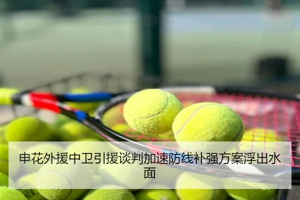 申花外援中卫引援谈判加速防线补强方案浮出水面