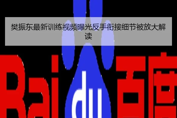 樊振东最新训练视频曝光反手衔接细节被放大解读