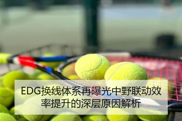 EDG换线体系再曝光中野联动效率提升的深层原因解析