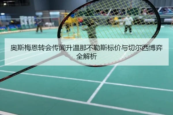 奥斯梅恩转会传闻升温那不勒斯标价与切尔西博弈全解析